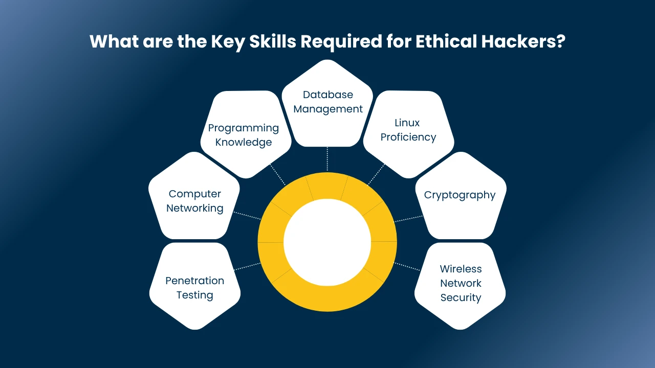 ethical hacker