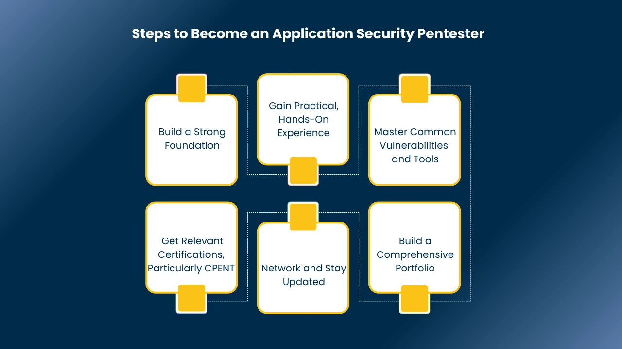 application penetration tester