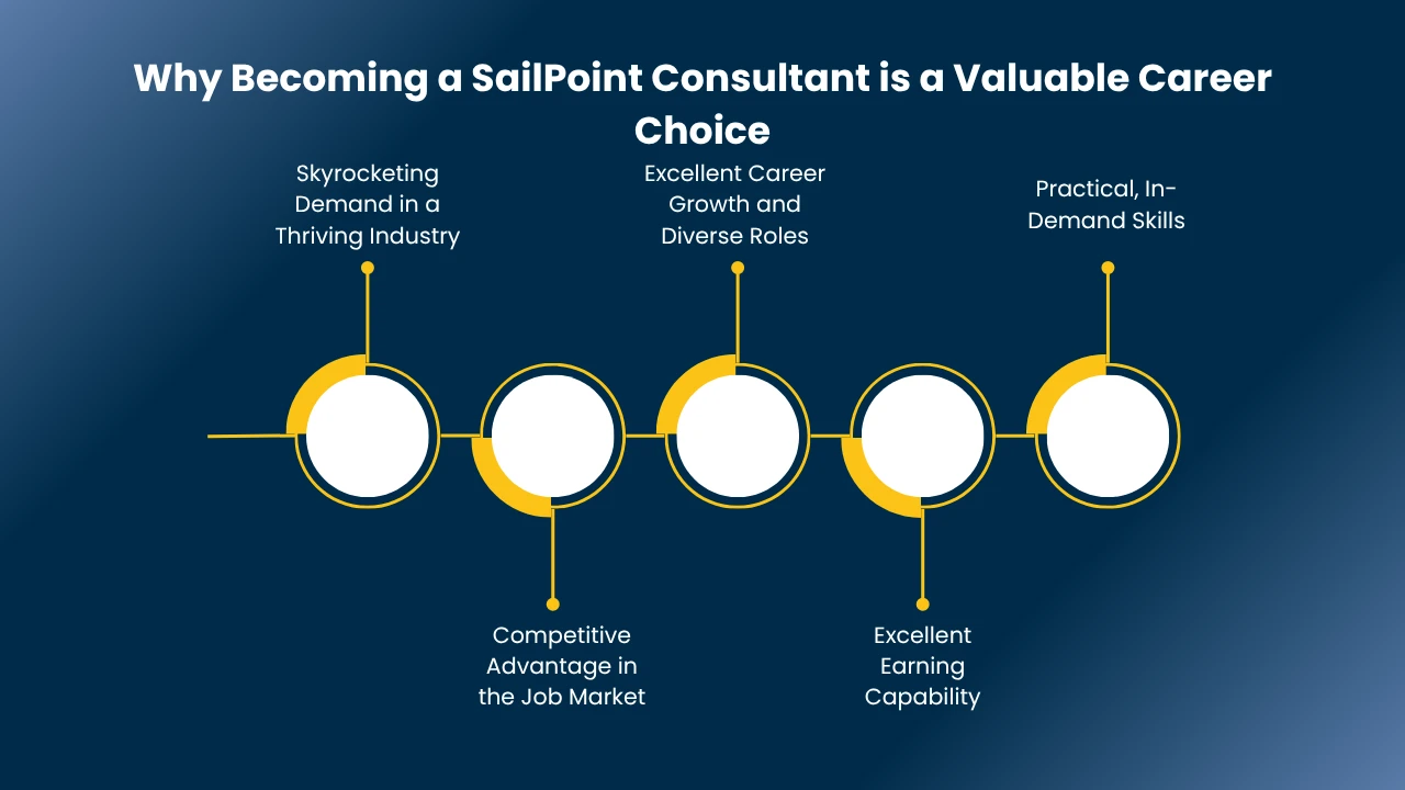 SailPoint Consultant