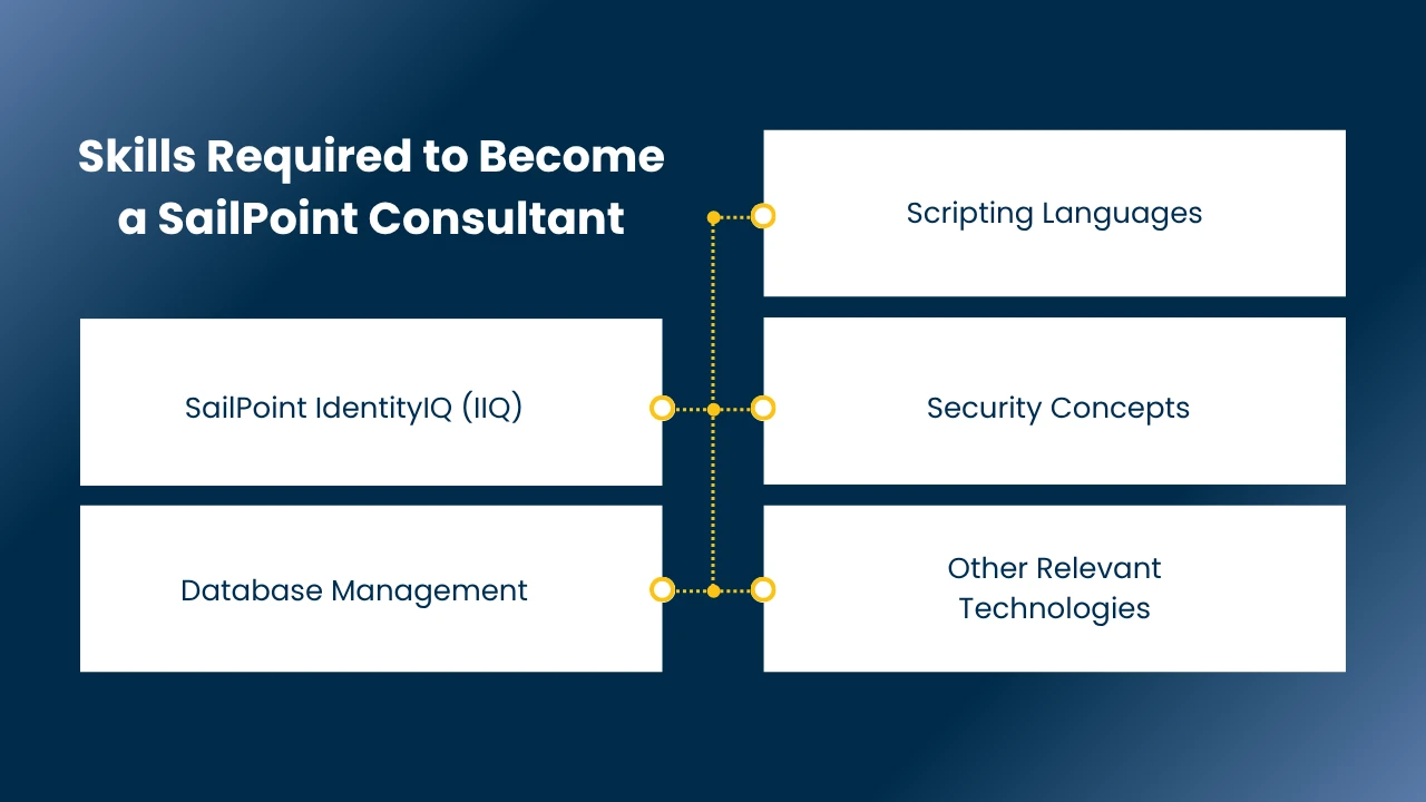 SailPoint Consultant
