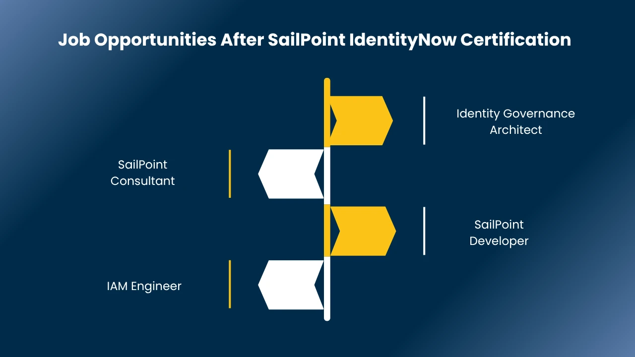 sailpoint identitynow jobs