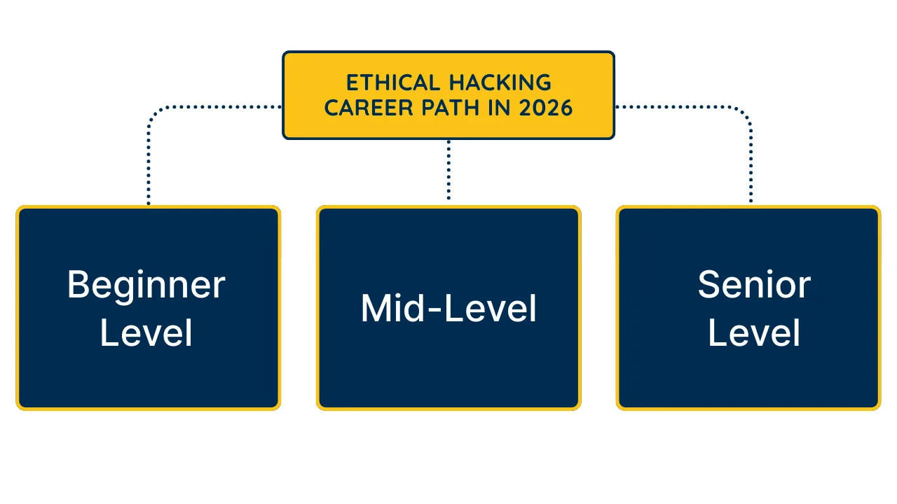 Ethical Hacking Career Path in 2026